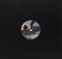 Capa do artigo Rememberance EP - Vinil