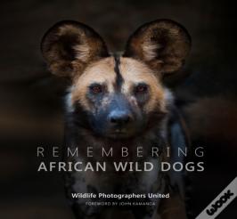 Remembering African Wild Dogs