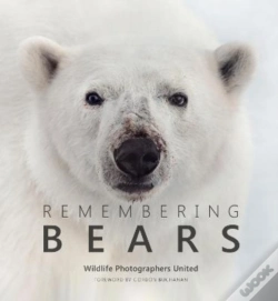 Capa do artigo Remembering Bears
