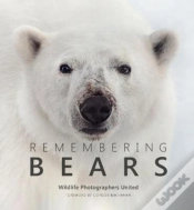 Capa do artigo Remembering Bears