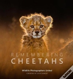 Capa do artigo Remembering Cheetahs