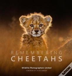 Remembering Cheetahs