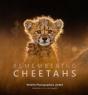 Remembering Cheetahs - Preview