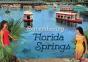 Remembering Florida Springs - Preview