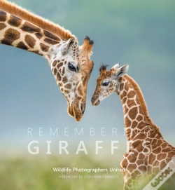 Capa do artigo Remembering Giraffes