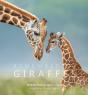 Remembering Giraffes - Preview
