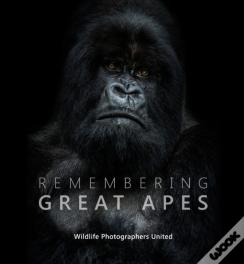 Remembering Great Apes