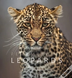 Capa do artigo Remembering Leopards