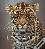 Capa do artigo Remembering Leopards