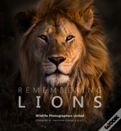 Capa do artigo Remembering Lions