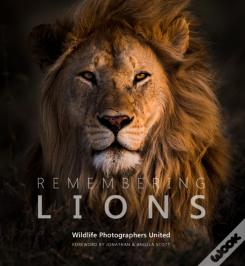 Remembering Lions