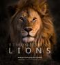 Remembering Lions - Preview