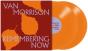 Remembering Now - Vinil - Preview