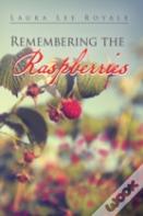 Remembering The Raspberries