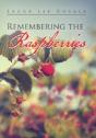 Remembering The Raspberries - Preview