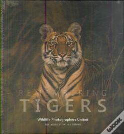 Remembering Tigers