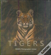 Capa do artigo Remembering Tigers