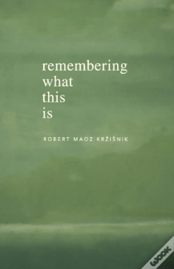 Capa do artigo Remembering What This Is