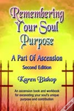 Capa do artigo Remembering Your Soul Purpose