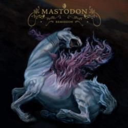 Capa do artigo Remission - CD