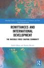 Remittances And International Development - Preview