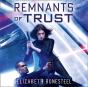 Remnants Of Trust - Preview