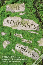 Capa do artigo Remnants
