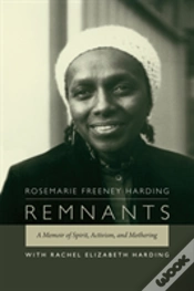Capa do artigo Remnants