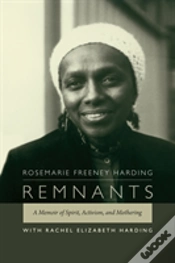 Capa do artigo Remnants