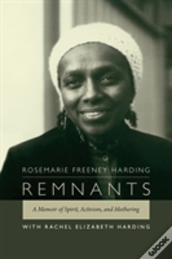Capa do artigo Remnants