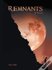 Capa do artigo Remnants