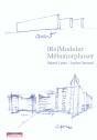 (Re)Modeler, Metamorphoser - Preview