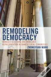 Remodeling Democracy