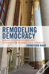 Remodeling Democracy