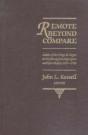 Remote Beyond Compare - Preview