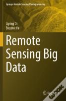Remote Sensing Big Data