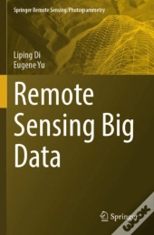 Remote Sensing Big Data