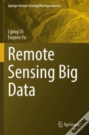 Capa do artigo Remote Sensing Big Data