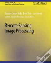 Remote Sensing Image Processing