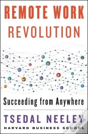 Capa do artigo Remote Work Revolution