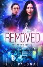 Removed - Preview
