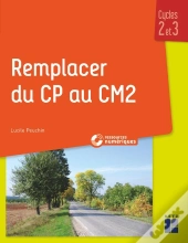 Remplacer Du Cp Au Cm2 ; Cycles 2 Et 3