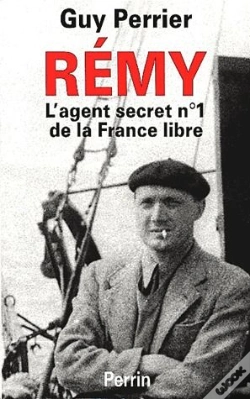 Capa do artigo Remy