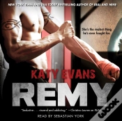 Capa do artigo Remy