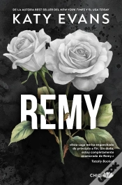 Capa do artigo Remy