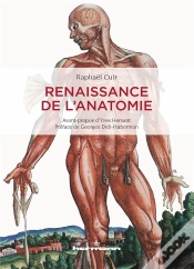 Capa do artigo Renaissance De L