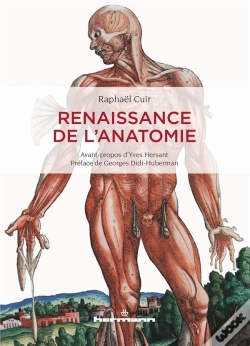 Capa do artigo Renaissance De L'Anatomie