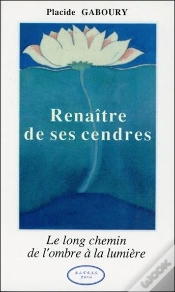 Capa do artigo Renaitre De Ses Cendres