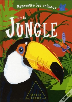 Capa do artigo Rencontre Les Animaux De La Jungle
