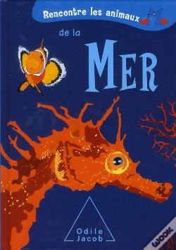 Capa do artigo Rencontre Les Animaux De La Mer